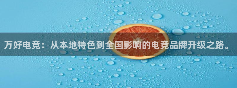 ob电竞官网：万好电竞：从本地特色到全国影响的电竞品牌升级之路。