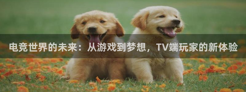 ob电竞俱乐部：电竞世界的未来：从游戏到梦想，TV端玩家的新体验