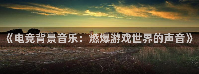 ob电竞官网：《电竞背景音乐：燃爆游戏世界的声音》