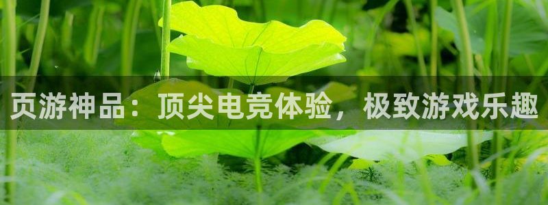 ob电竞平台：页游神品：顶尖电竞体验，极致游戏乐趣