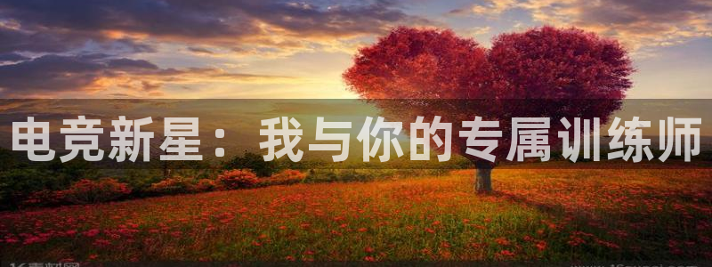 ob电竞官网入口：电竞新星：我与你的专属训练师