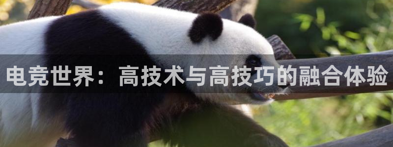 ob电竞官网入口：电竞世界：高技术与高技巧的融合体验