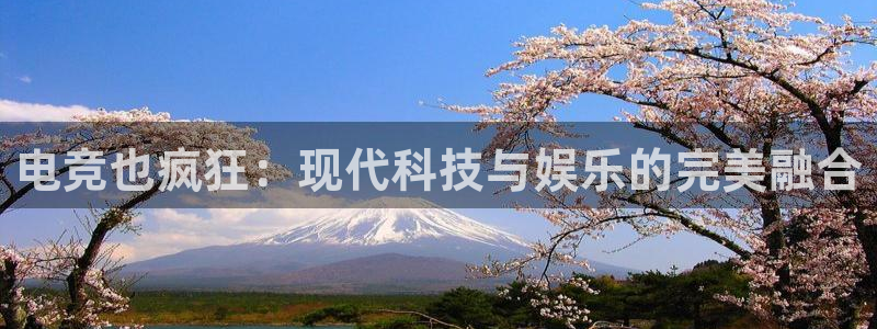 ob电竞官网入口：电竞也疯狂：现代科技与娱乐的完美融合