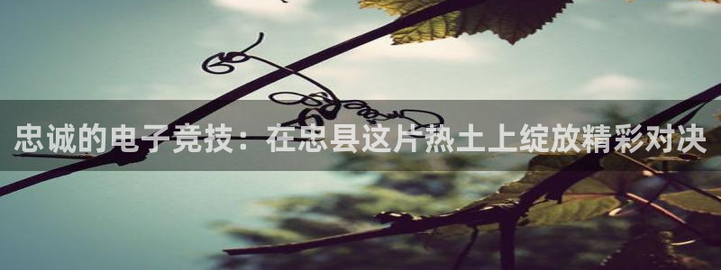 ob电竞平台：忠诚的电子竞技：在忠县这片热土上绽放精彩对决