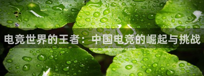ob电竞官网：电竞世界的王者：中国电竞的崛起与挑战