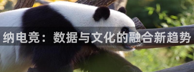 ob电竞网站：纳电竞：数据与文化的融合新趋势