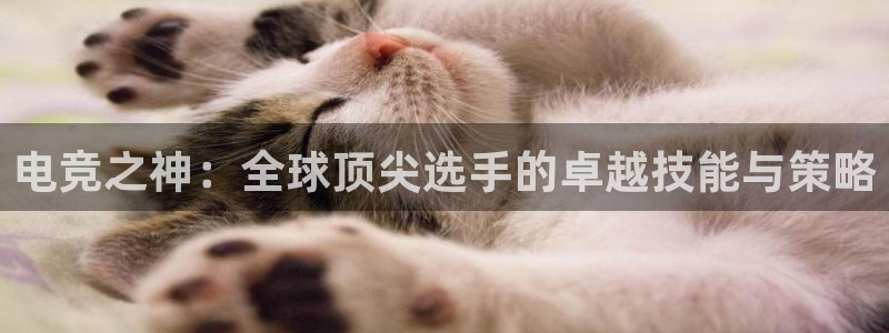ob电竞平台：电竞之神：全球顶尖选手的卓越技能与策略